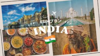 インドはeSIMがおすすめ!購入から設定までわかりやすく解説|iPhone・Android